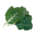 Couve Galega Cortada Congelada Comdalgel – 250g